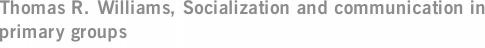 Thomas R. Williams, Socialization and communication in primary groups