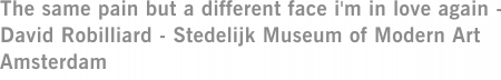 The same pain but a different face i'm in love again - David Robilliard - Stedelijk Museum of Modern Art Amsterdam