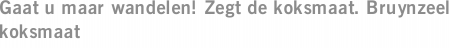 Gaat u maar wandelen! Zegt de koksmaat. Bruynzeel koksmaat